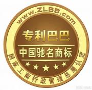专利号的格式和含义是什么？
